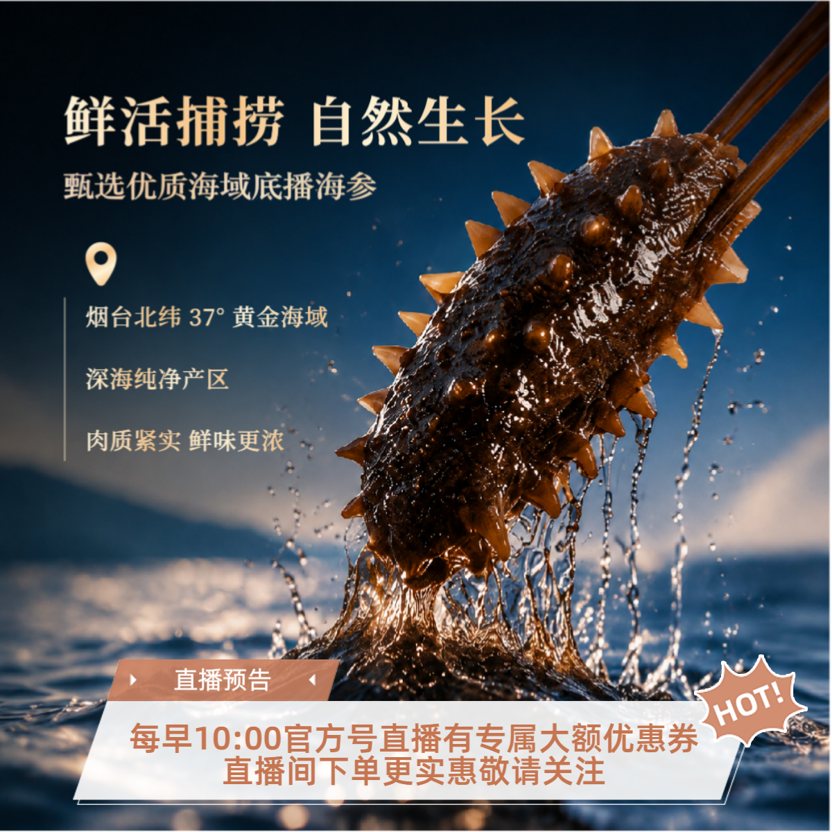 海参参世达海参原生深海底播极速冷冻即食免泡发3斤装
