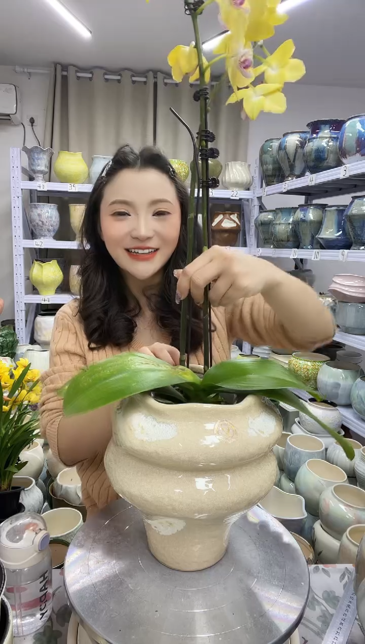 【花盆链接】  高 ： 22口：14