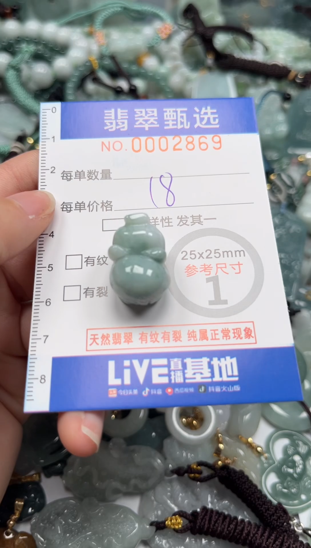 【闪购商品】翡翠颈饰未镶嵌00..2869