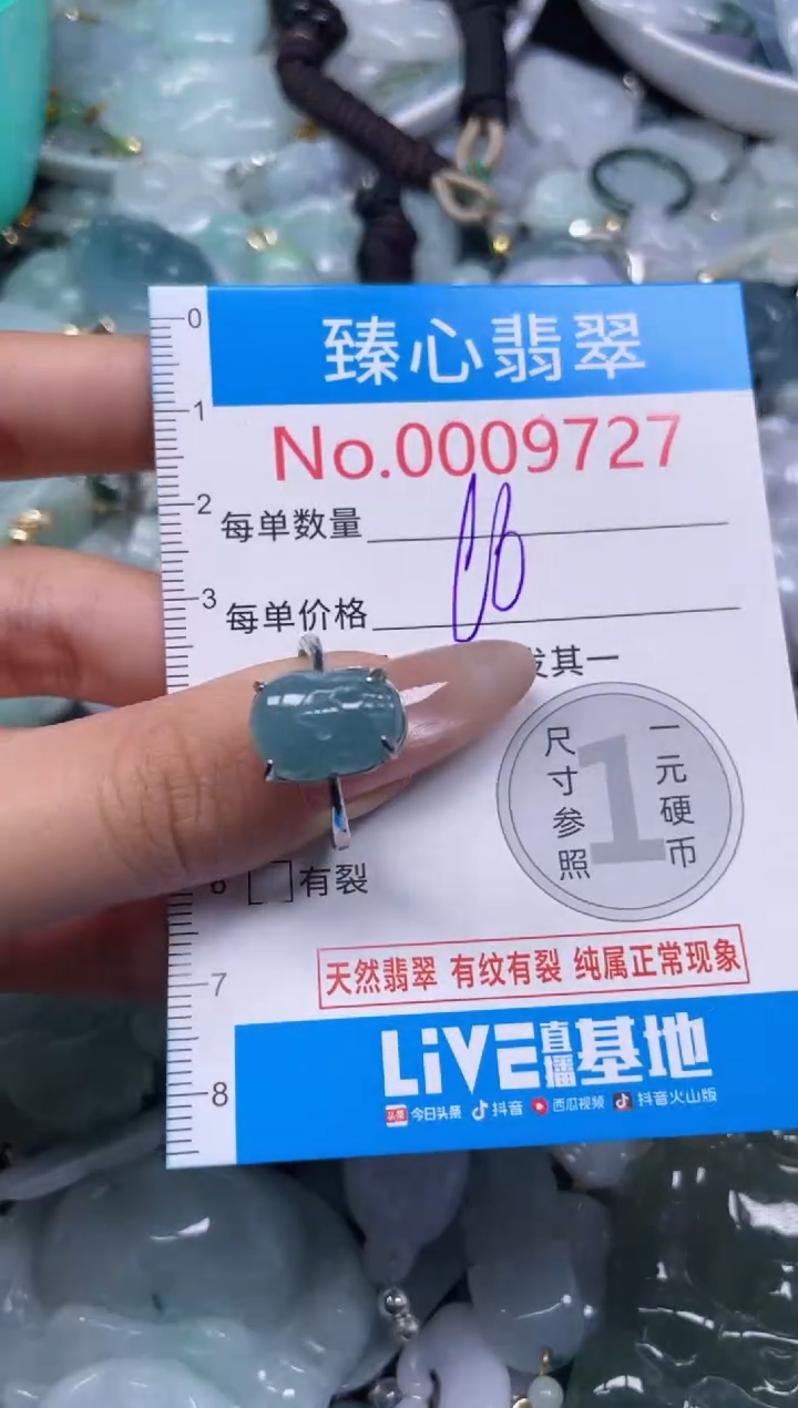 颈饰未镶嵌翡翠9727