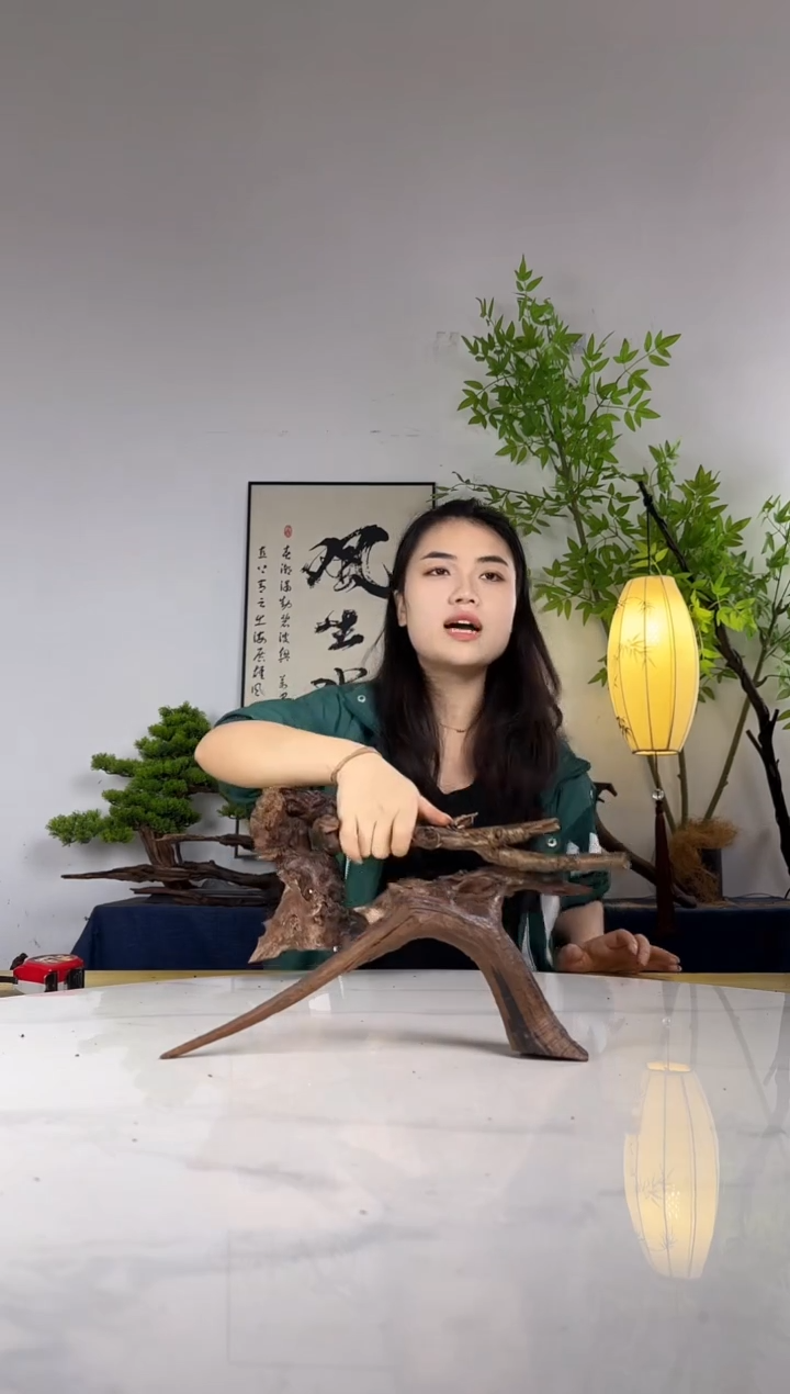C*拍这个定向编号41