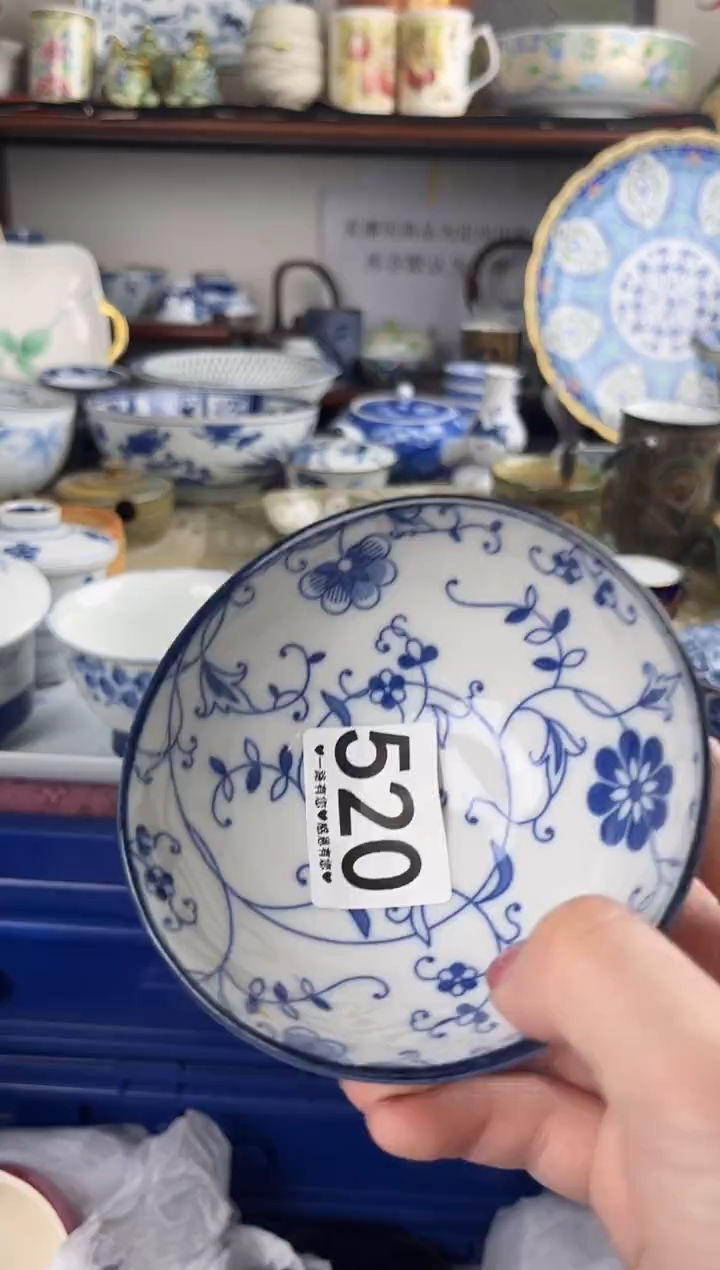 瓷片520...........