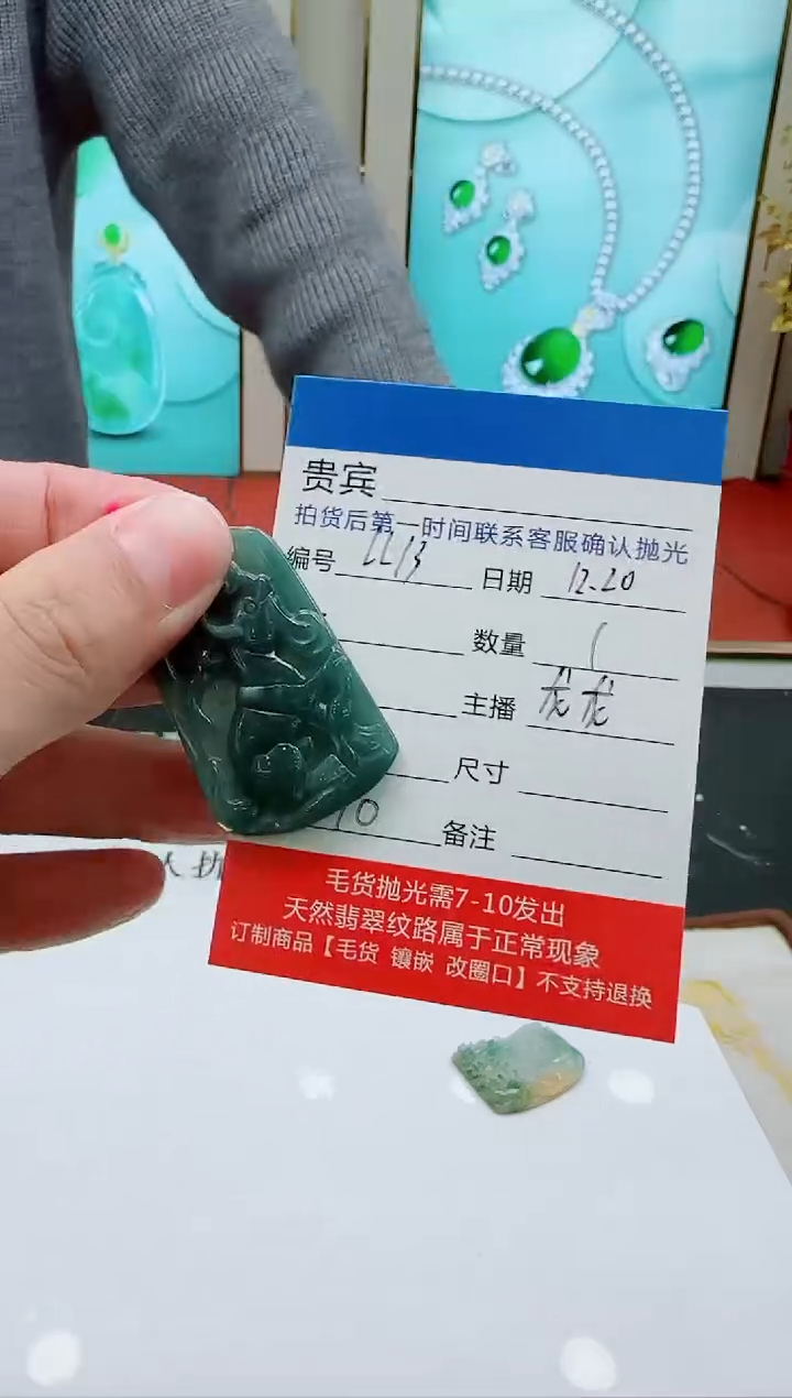颈饰未镶嵌翡翠LL13翡翠吊坠-多样性发其一