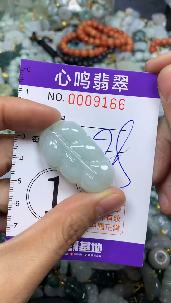 【闪购商品】翡翠颈饰未镶嵌闪购009166