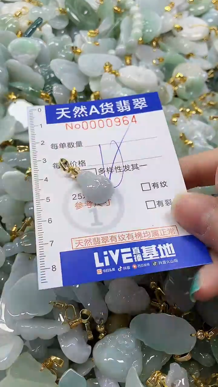 颈饰未镶嵌翡翠纯天然a货翡翠