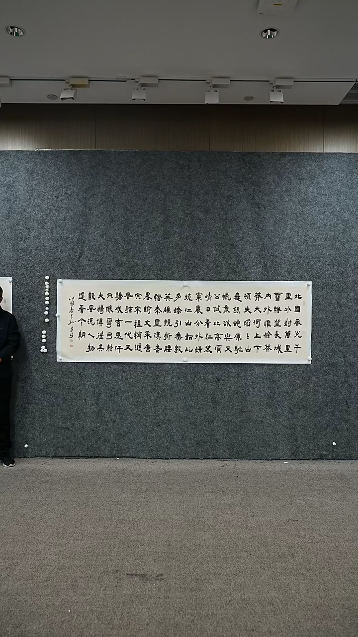 书法书法SHJ老师作品