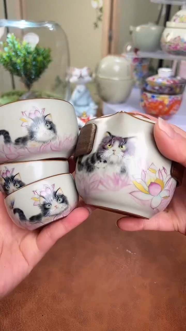 【闪购商品】老实人茶具铺快客