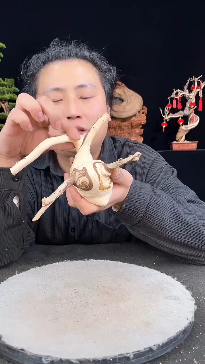 【闪购商品】柏木（崖柏）其他手工摆件,先抢先得!