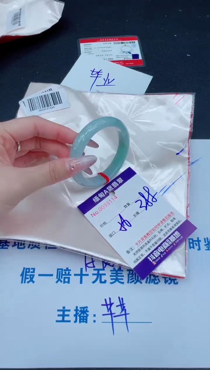 未镶嵌手镯翡翠1