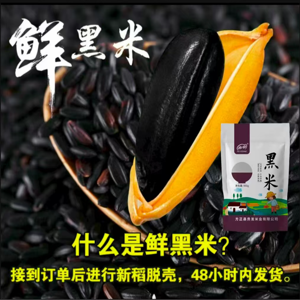 东北农家精选优质黑米当季新粮五谷杂粮健康早餐食品