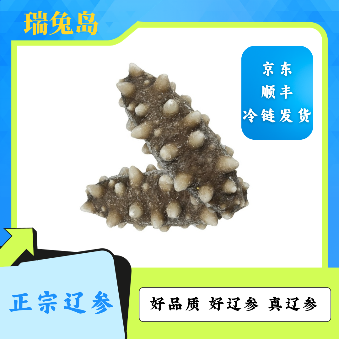 【双有机辽参】大连深海底播辽刺参冷冻即食海参12头*500g/袋辽参