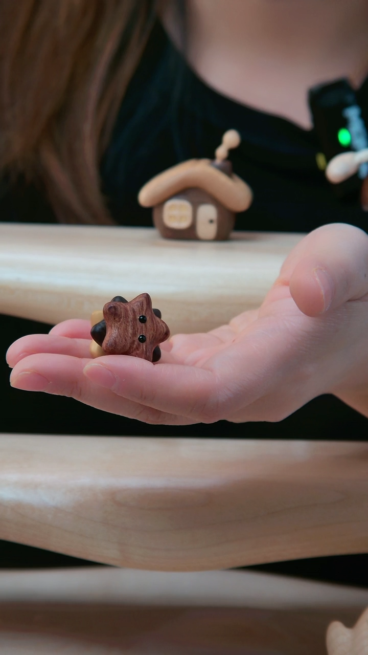 木海星  海星瑕疵  一组3颗 瑕疵