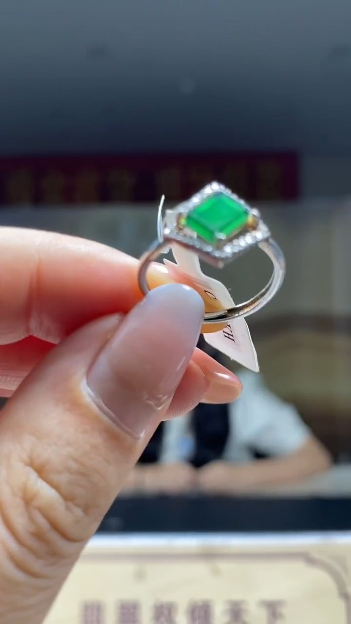 翡翠未镶嵌颈饰********16