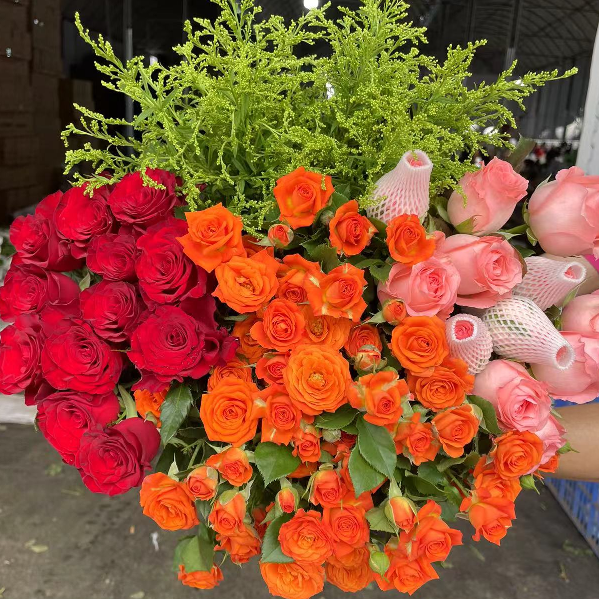 【红玫瑰套餐】红玫瑰6枝+粉玫瑰6枝+橙芭比3枝+草5枝 云南鲜花