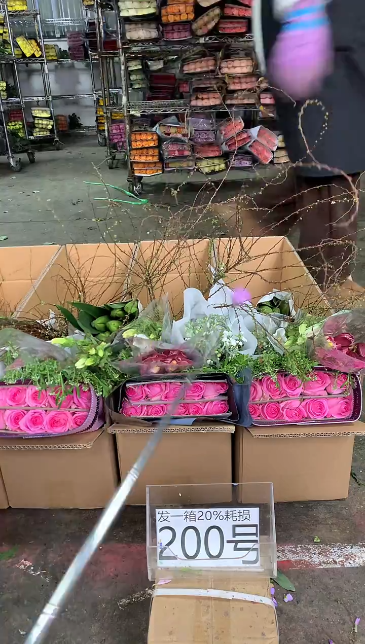 200号♥中通含20%耗损发一箱鲜花