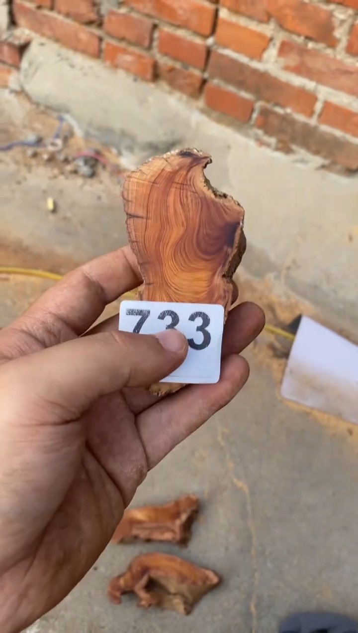 柏木（崖柏）太行陈化崖柏切片一片733