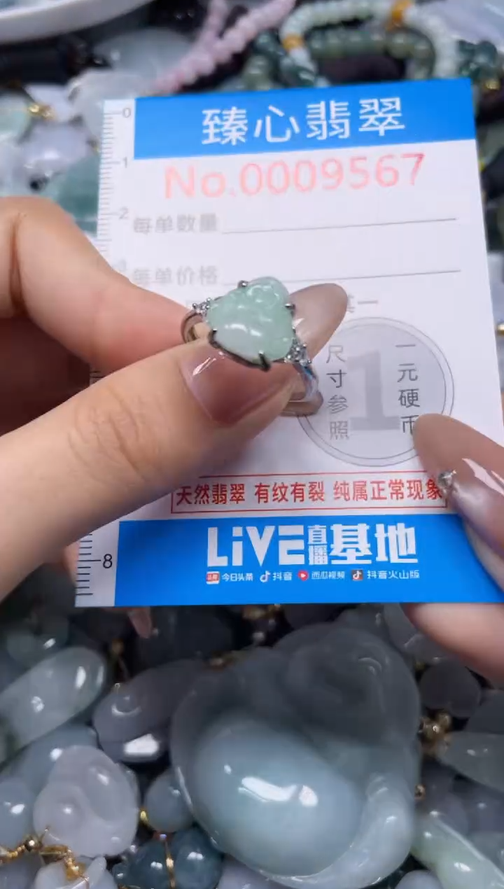 颈饰未镶嵌翡翠9567