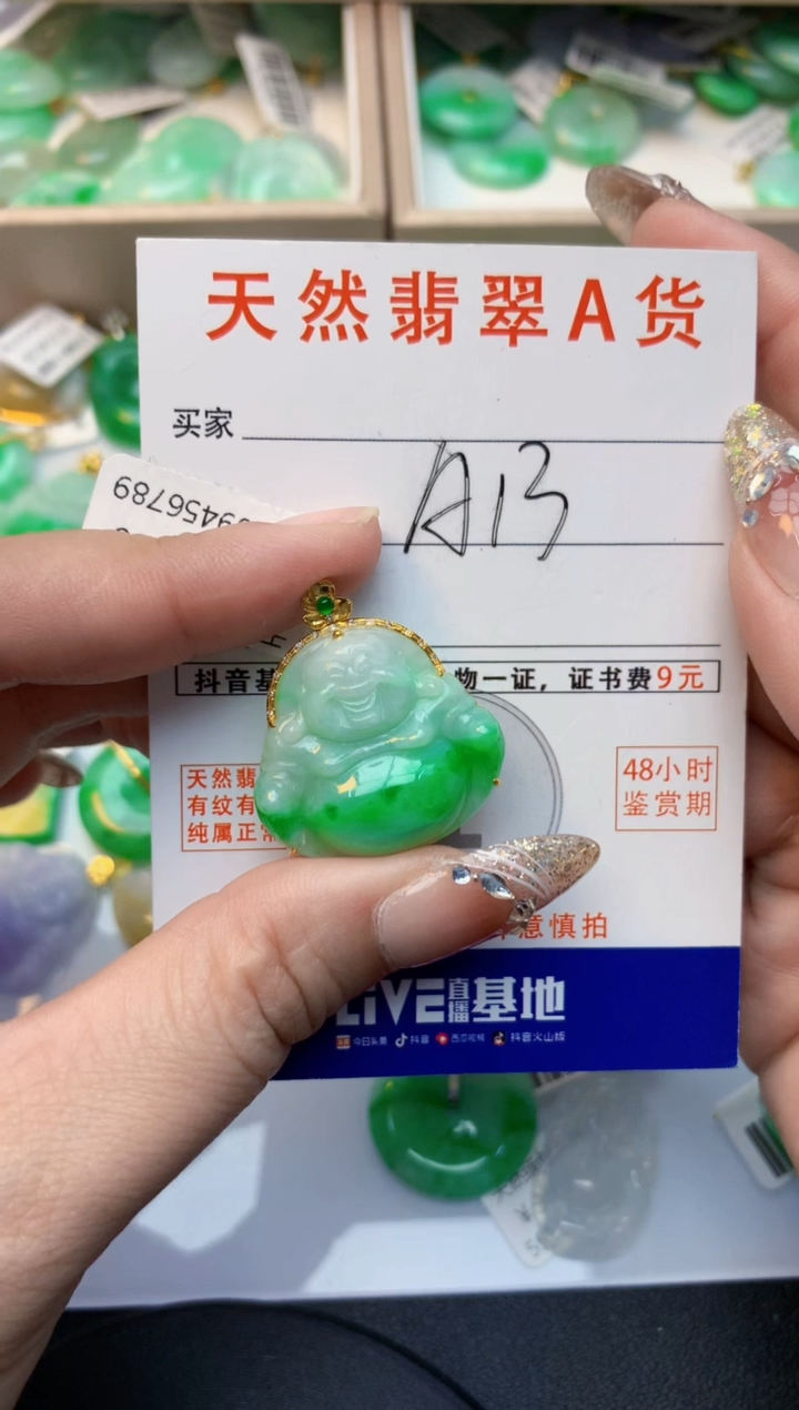 颈饰18K金镶嵌翡翠天然A货缅甸翡翠百元以上9元证书费自理