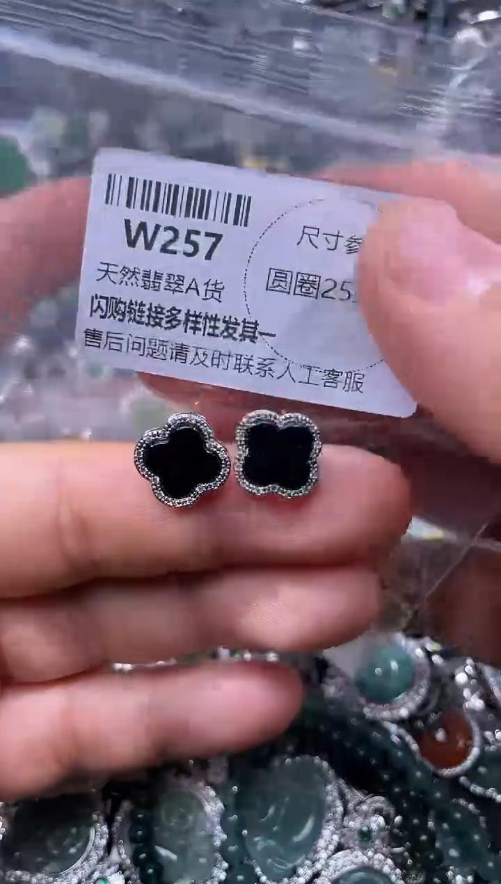 【闪购商品】翡翠颈饰未镶嵌W257耳钉