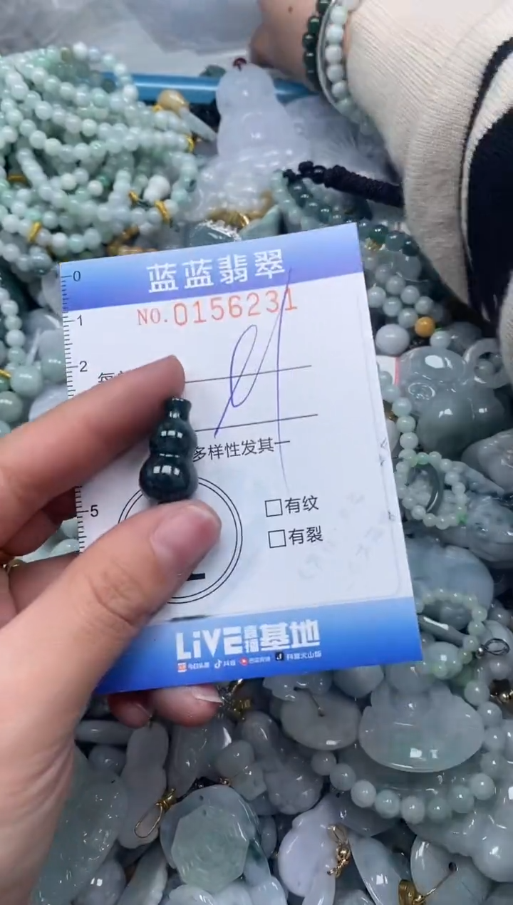 【闪购商品】翡翠颈饰未镶嵌闪购0156231