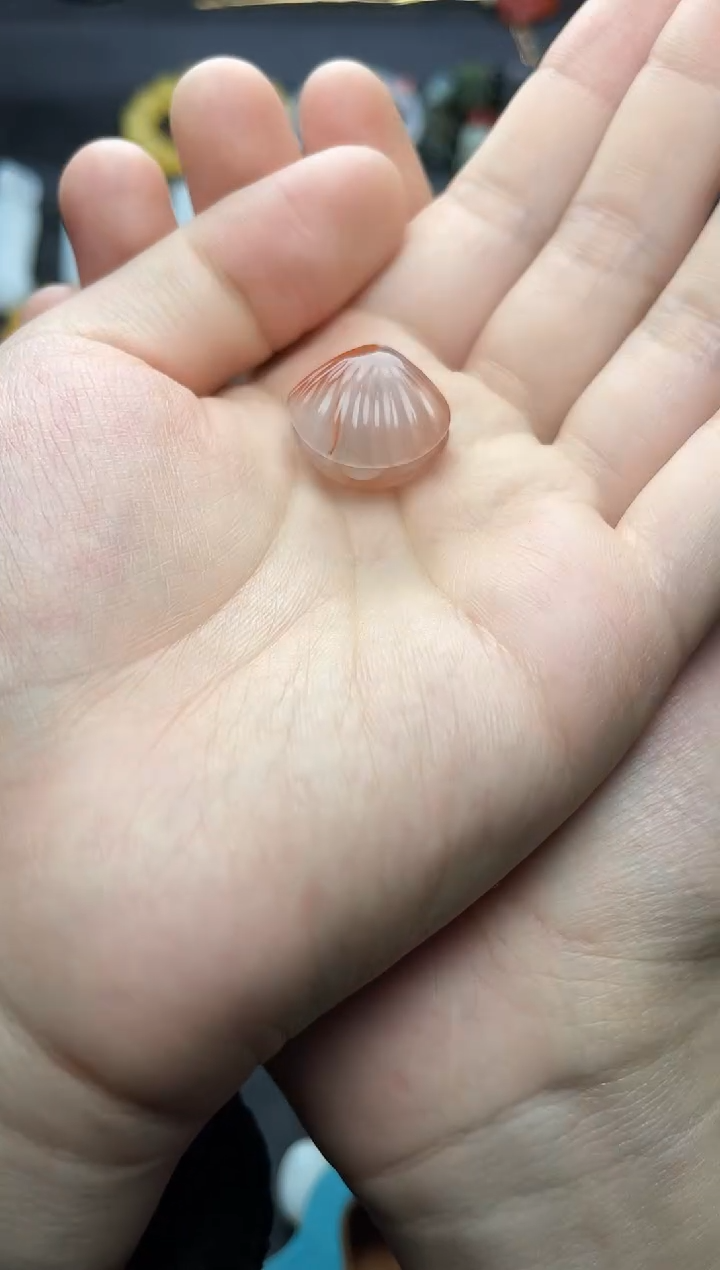 未镶嵌颈饰南红玛瑙扇贝06