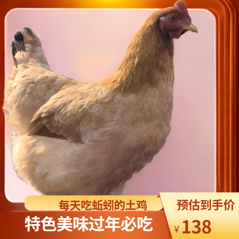 蚯楚鸡吃蚯蚓的散养土鸡虫草鸡（杀好顺丰包邮）