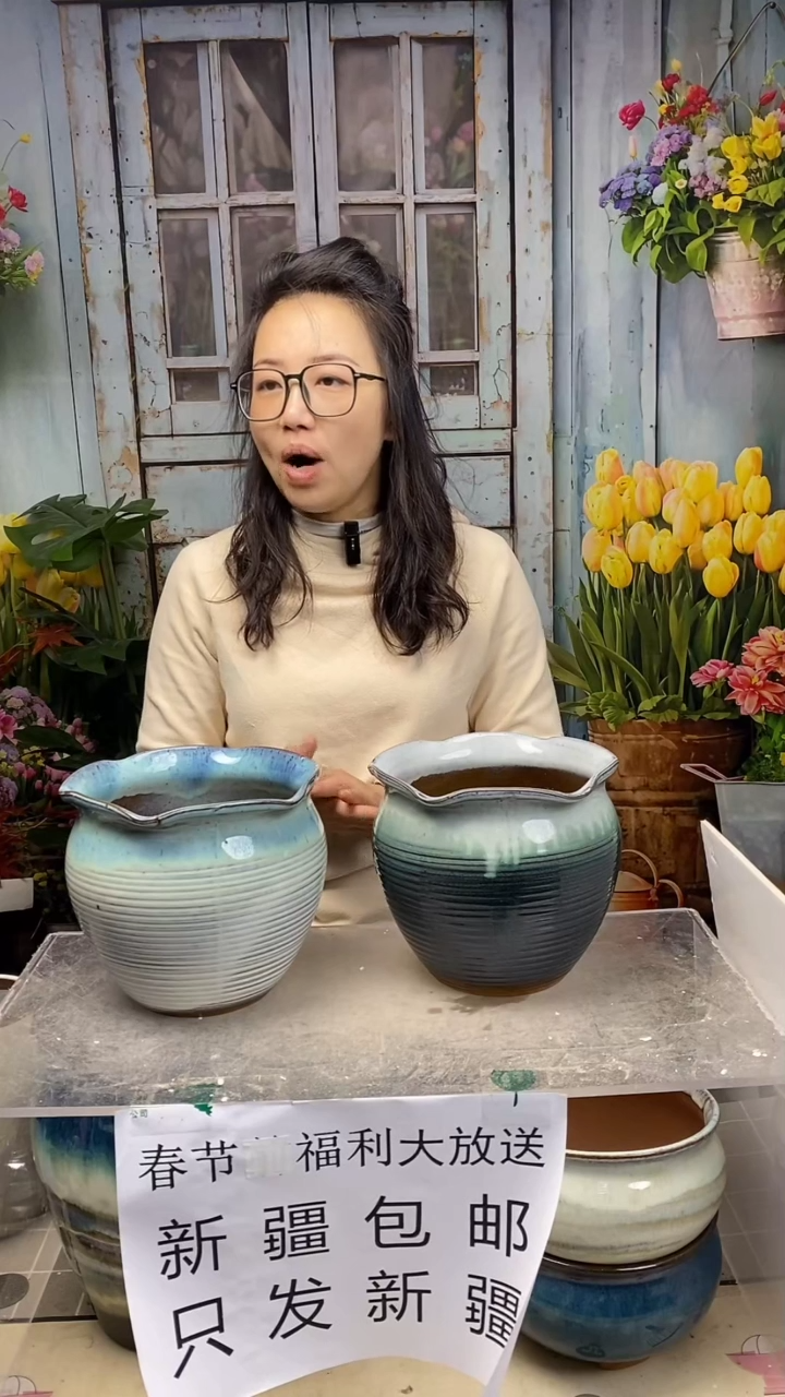 【闪购商品】红陶白蓝绿木耳边陶盆2个装 口20高18