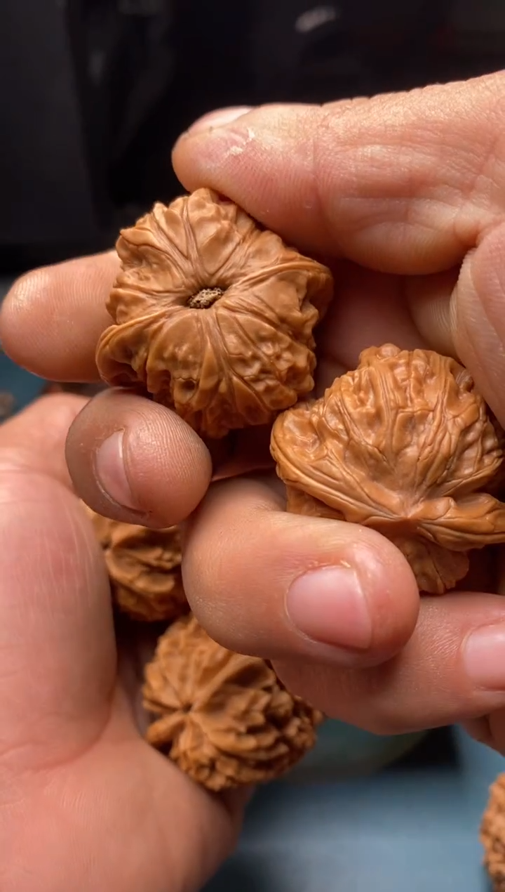 把件文玩核桃野生麒麟b464.