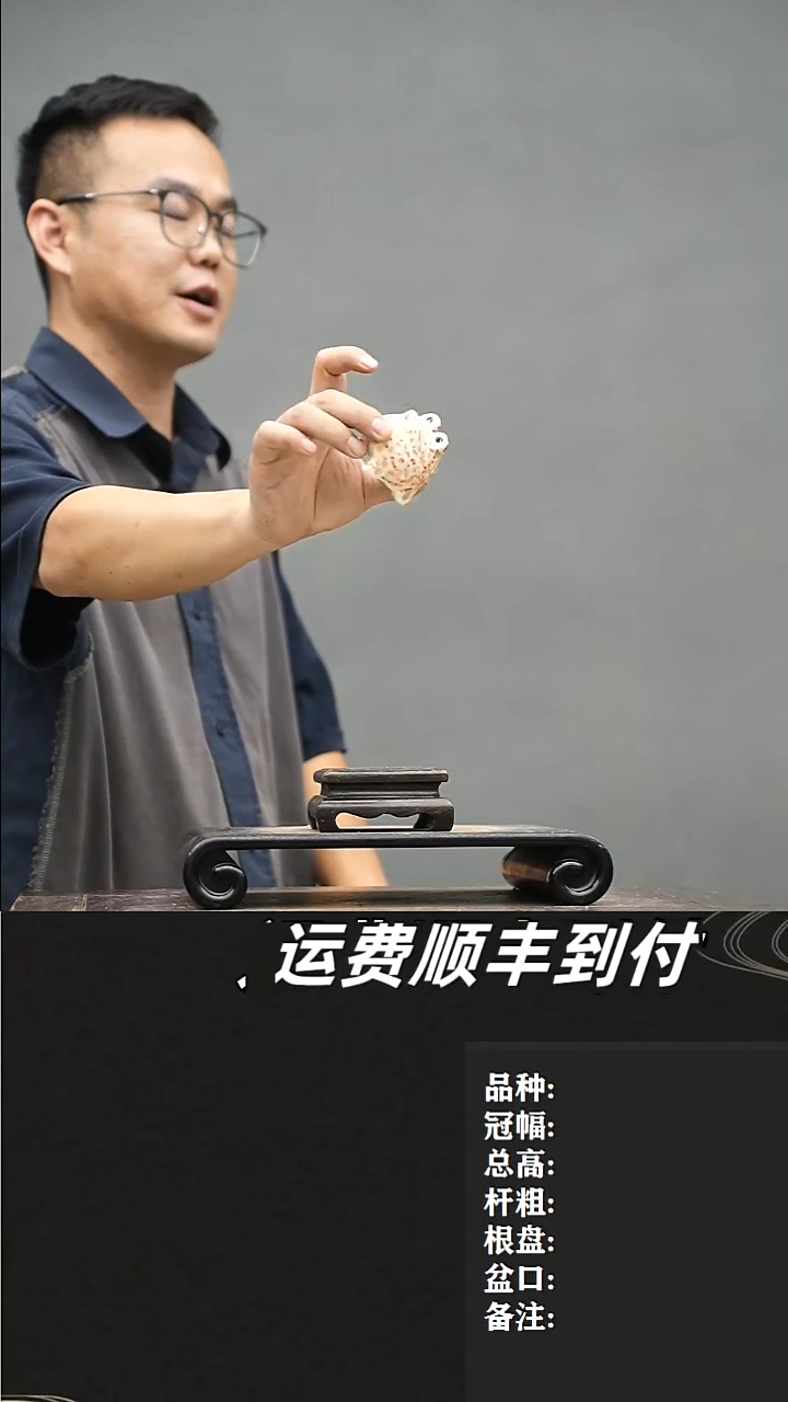4      盆器         