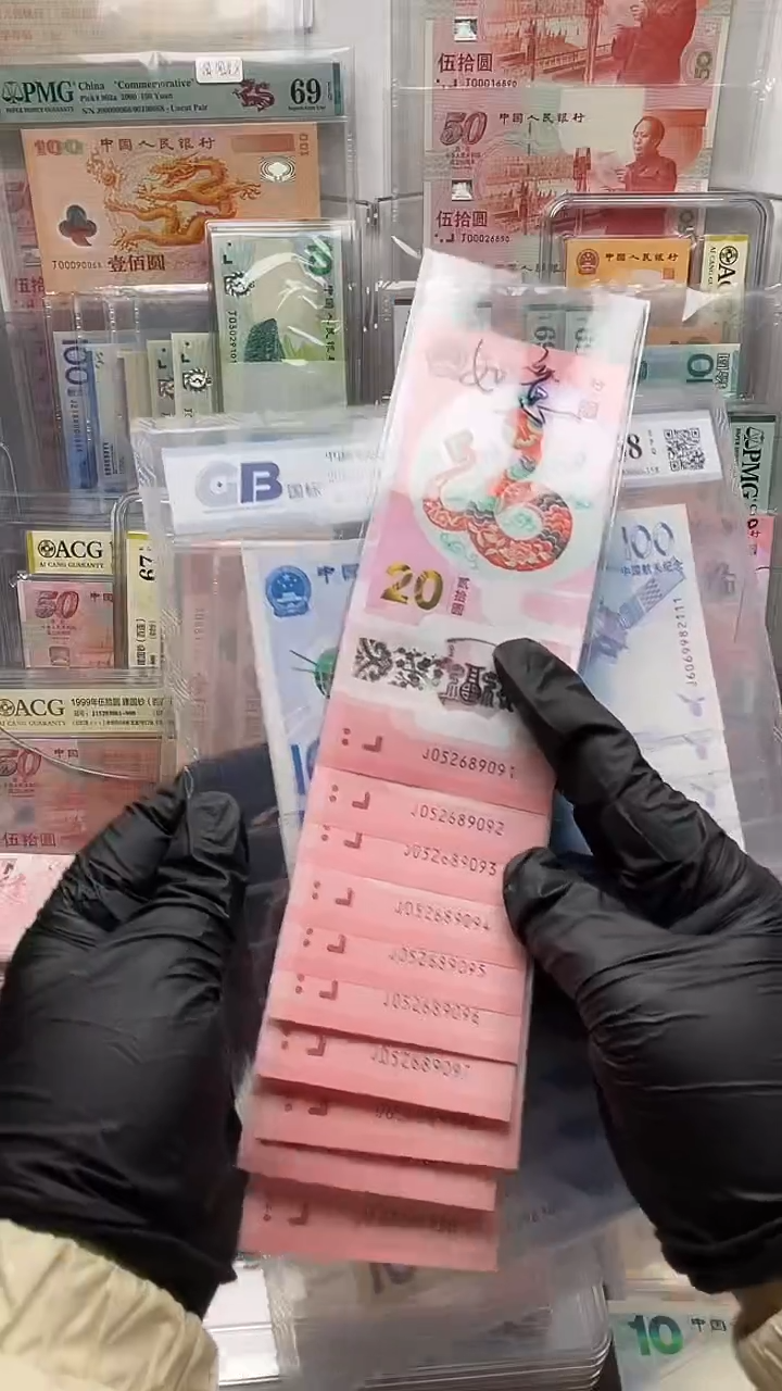 【闪购商品】纸蛇十连J052689091-00国标评级