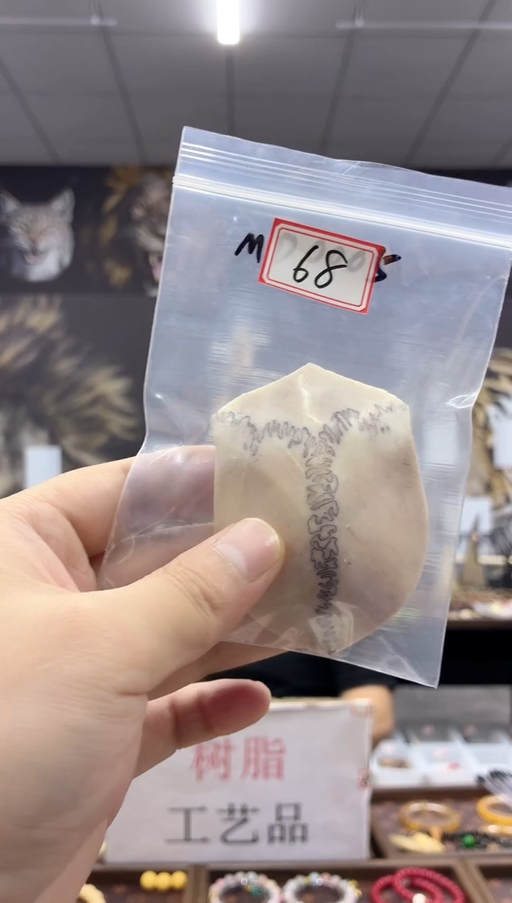 猛犸---------------068