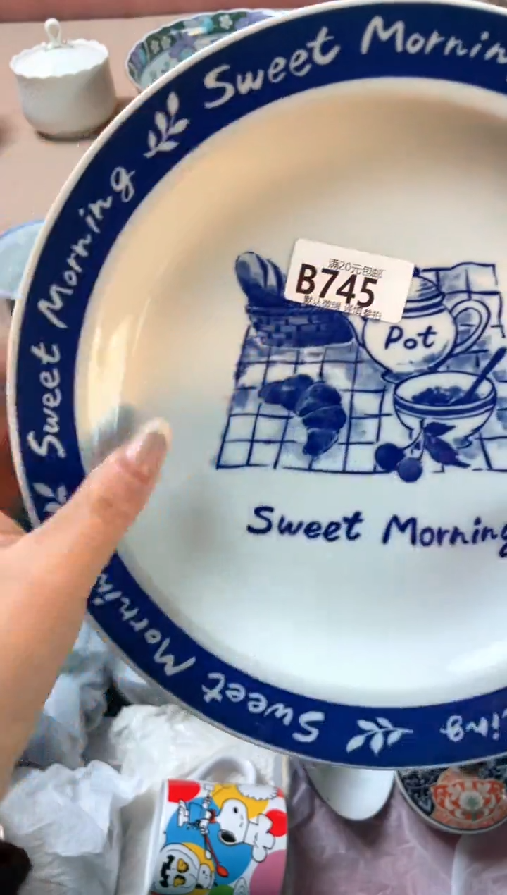 瓷片E****看瓷器瓷器B745