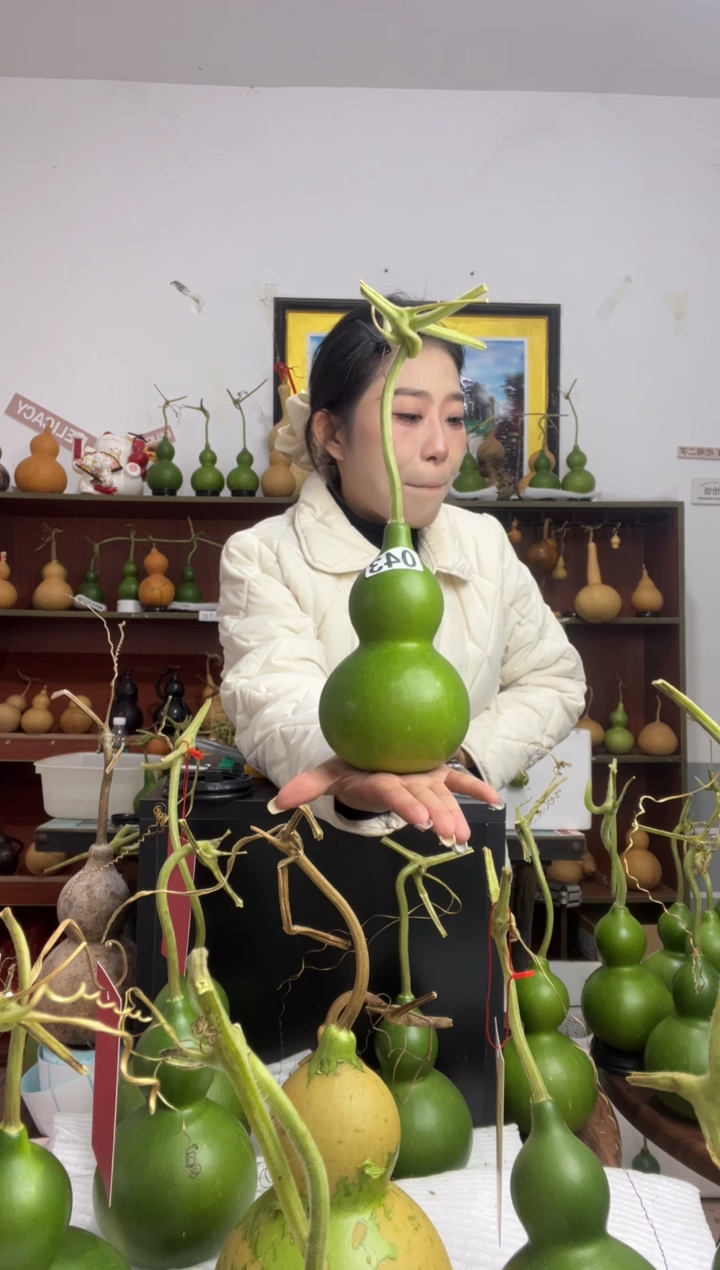 @****力043天然葫芦摆件 一物一拍龙头不保售后带一个