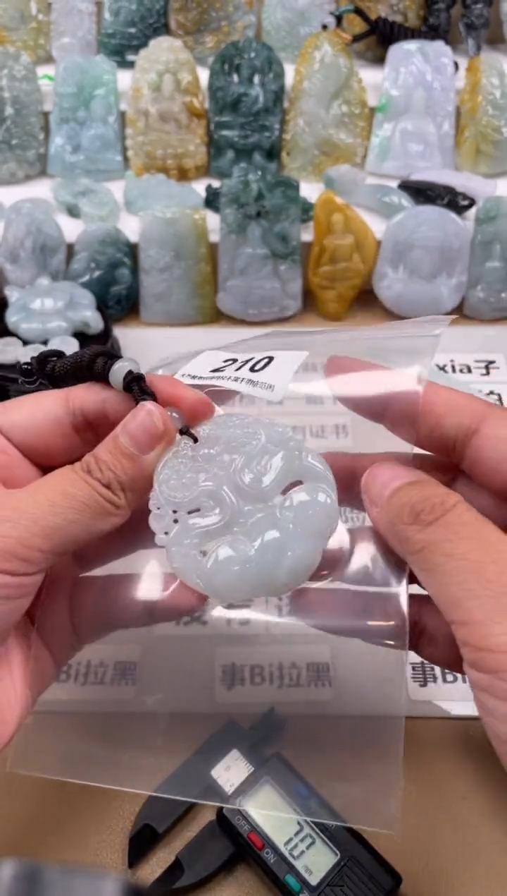 【闪购商品】翡翠颈饰未镶嵌天然缅甸A货翡翠210