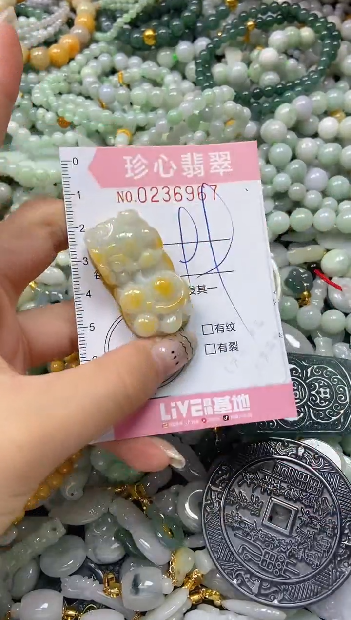 翡翠未镶嵌颈饰闪购0236967