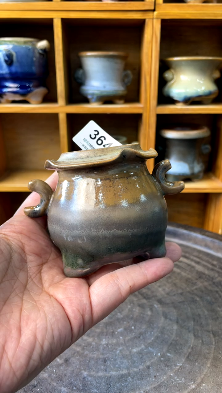 364【多肉花盆多肉盆】