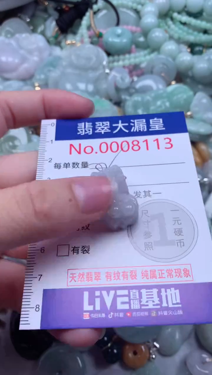 翡翠未镶嵌吊坠(不含链)8113