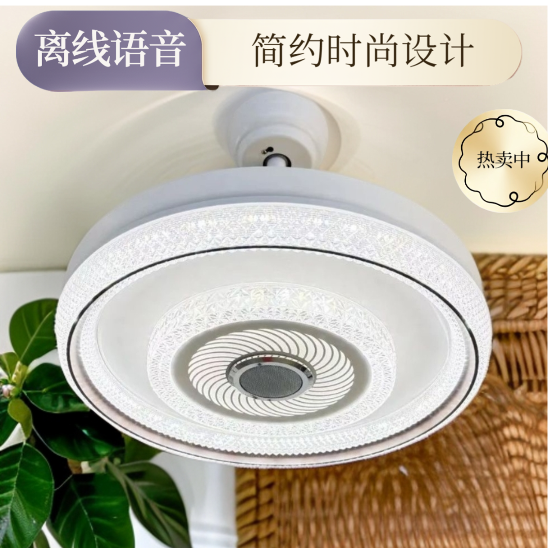 108#夏季家装护眼隐形带风扇大尺寸风扇灯蓝牙音响离线语音简约