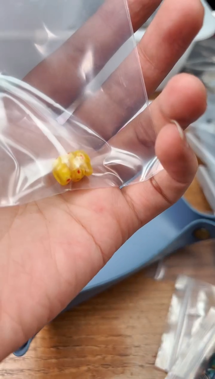 【闪购商品】树脂制品【 肖钟出品 】