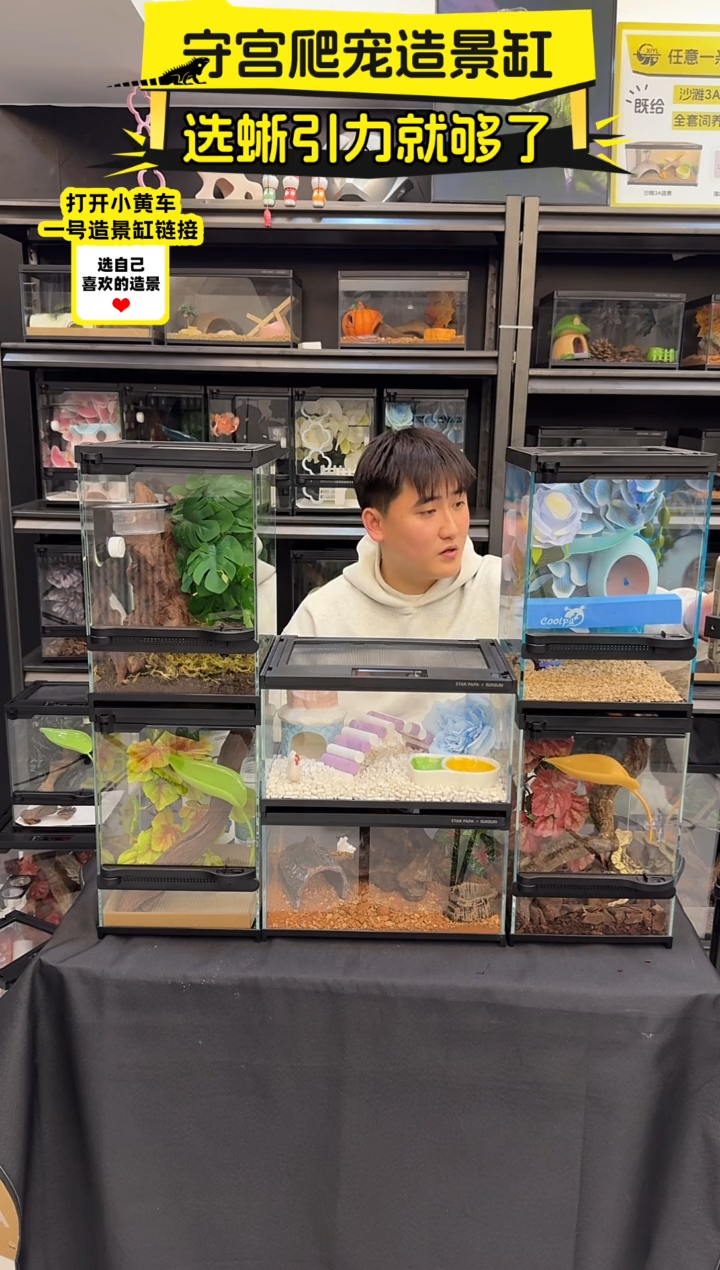 无心老师专拍（温控）