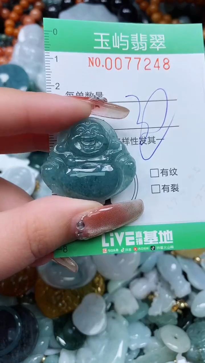 【闪购商品】翡翠颈饰未镶嵌闪购0077248多样性发其一