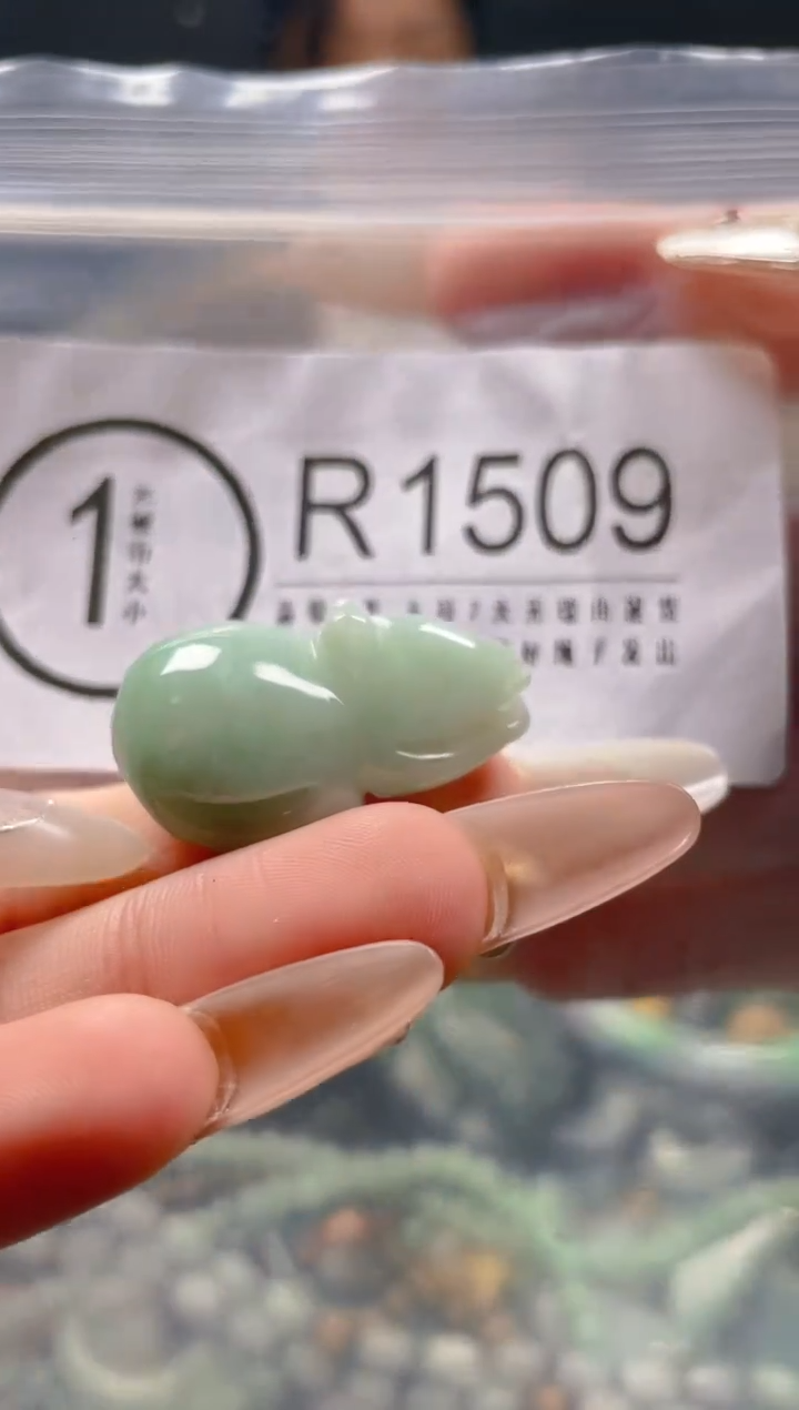 【闪购商品】翡翠颈饰未镶嵌/R/翡翠A货一图一物