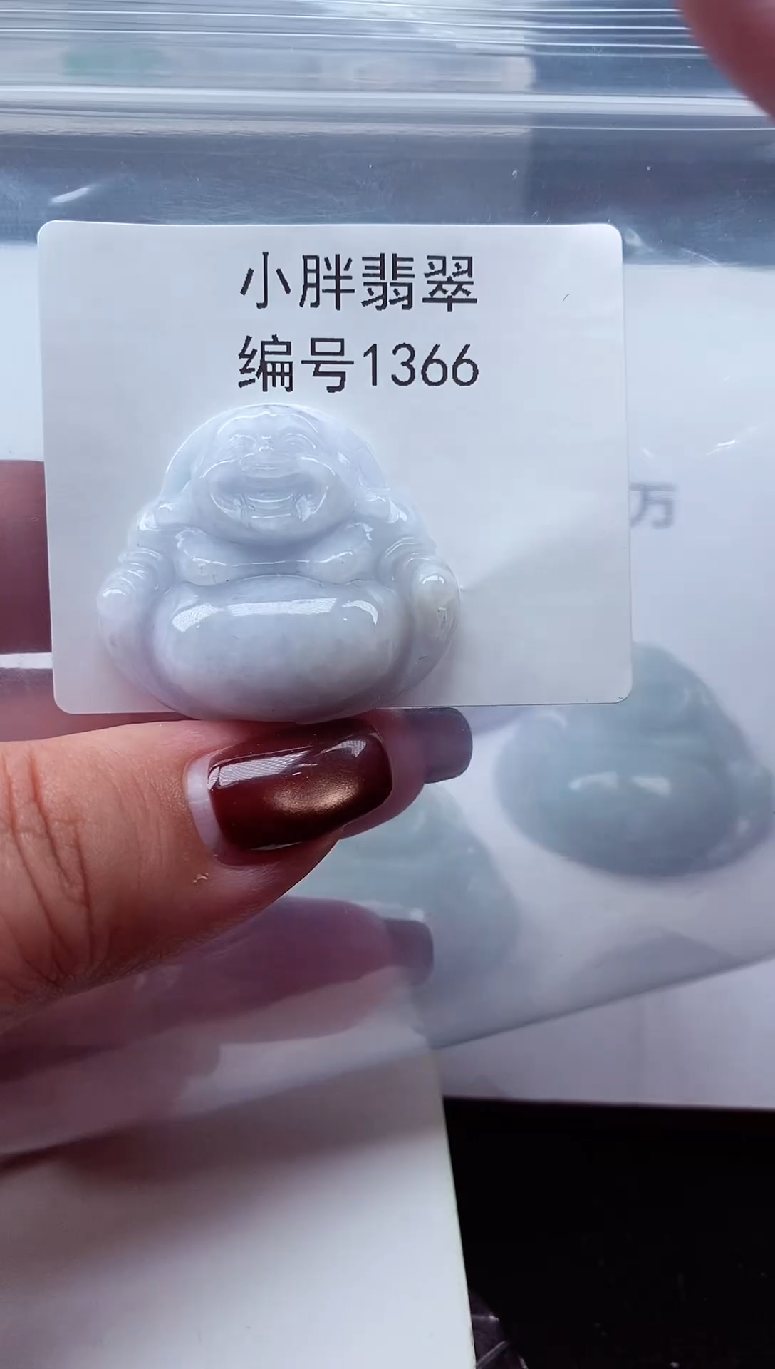 颈饰未镶嵌翡翠缅甸天然A货翡翠1366