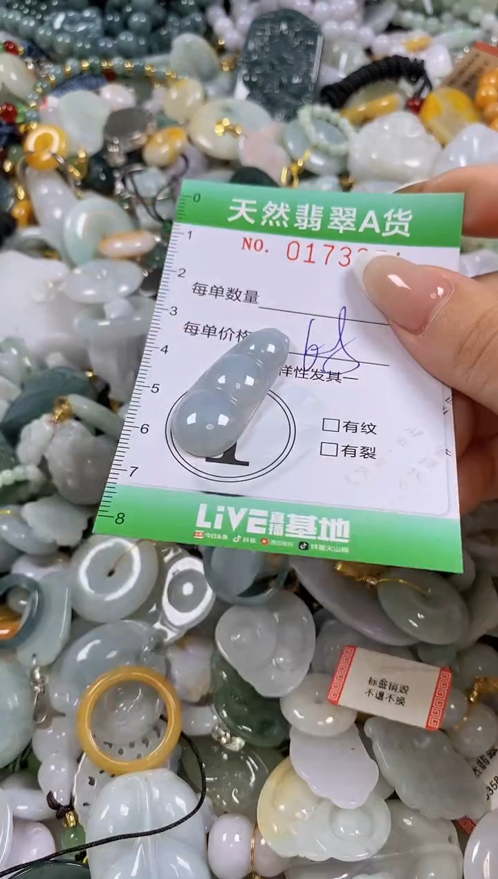 翡翠未镶嵌颈饰闪购0173351