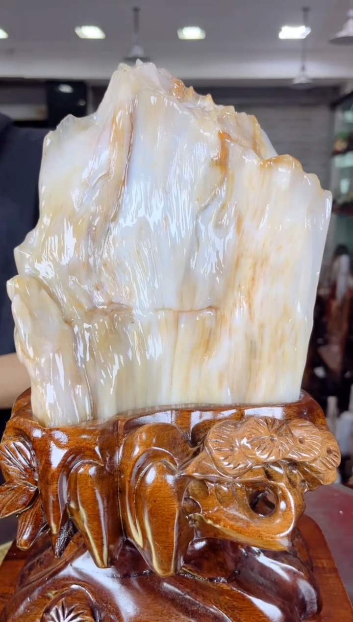 【闪购商品】硅化玉珠宝奇石未镶嵌缅甸天然树化玉