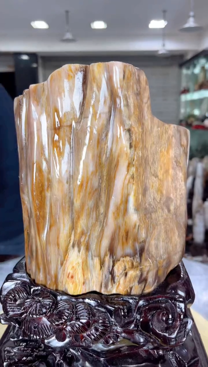 【闪购商品】硅化玉珠宝奇石未镶嵌缅甸天然树化玉