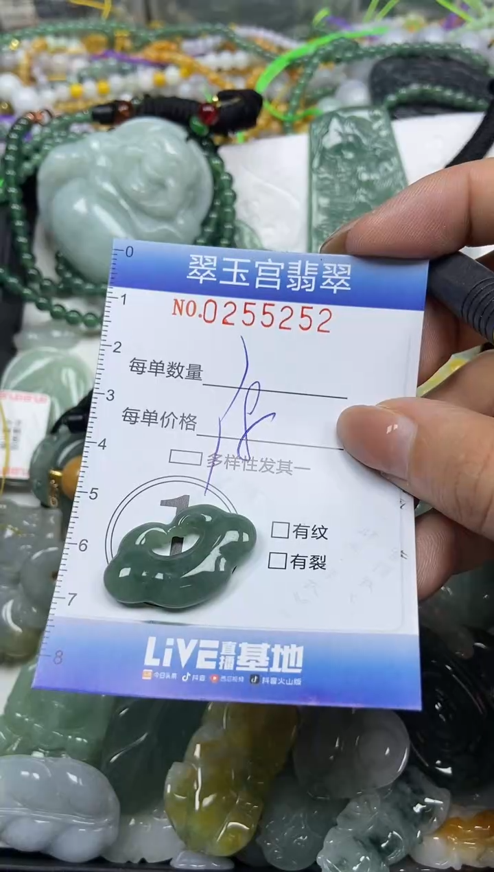 颈饰未镶嵌翡翠闪购C0255252