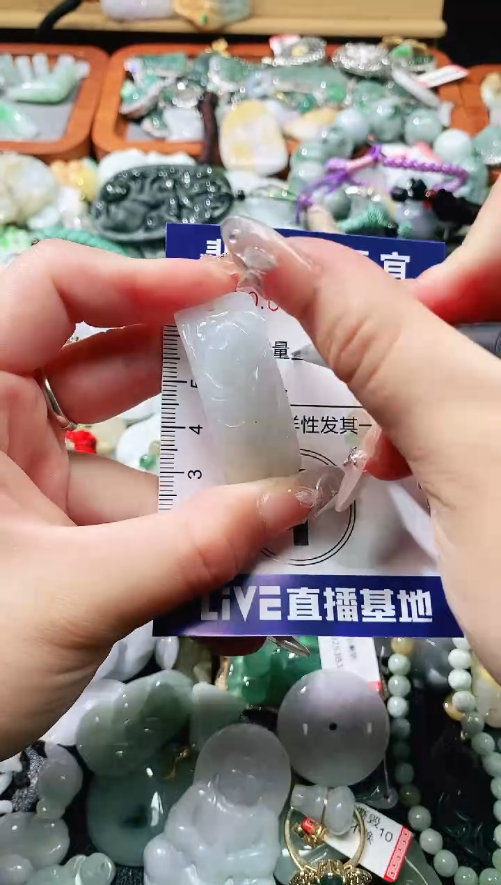 【闪购商品】翡翠未镶嵌颈饰闪购0009351