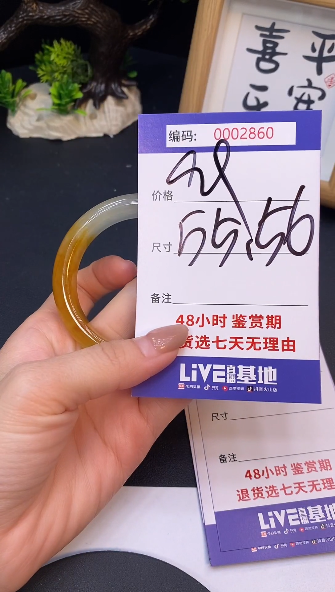 未镶嵌手镯翡翠0002860