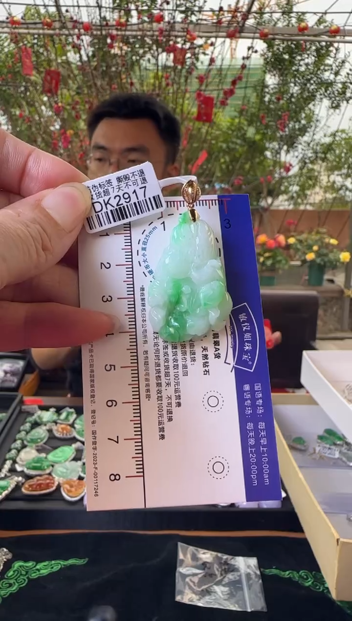 【闪购商品】翡翠颈饰18K金镶嵌DK2917 发菜